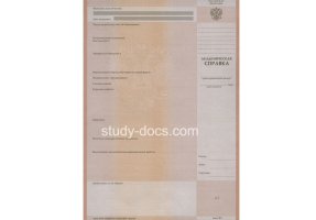Академическая справка в Артёме