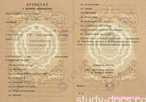 Аттестат 8 классов Аттестат 8 классов в Артёме