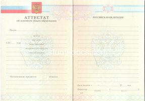 Аттестат за 9 класс 2007-2010 в Артёме