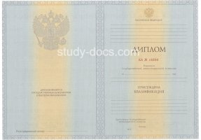 Диплом специалиста 2012-2013 в Артёме